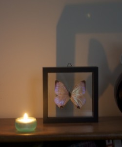 candle and butterfly